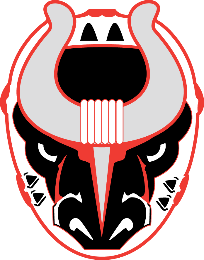 Birmingham Bulls 2017-Pres Partial Logo iron on heat transfer...